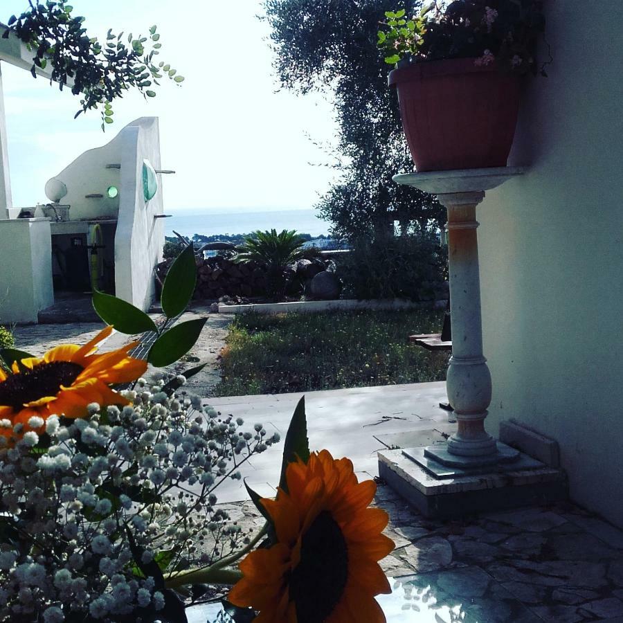 Willa Casa Del Carrubo Vieste Zewnętrze zdjęcie