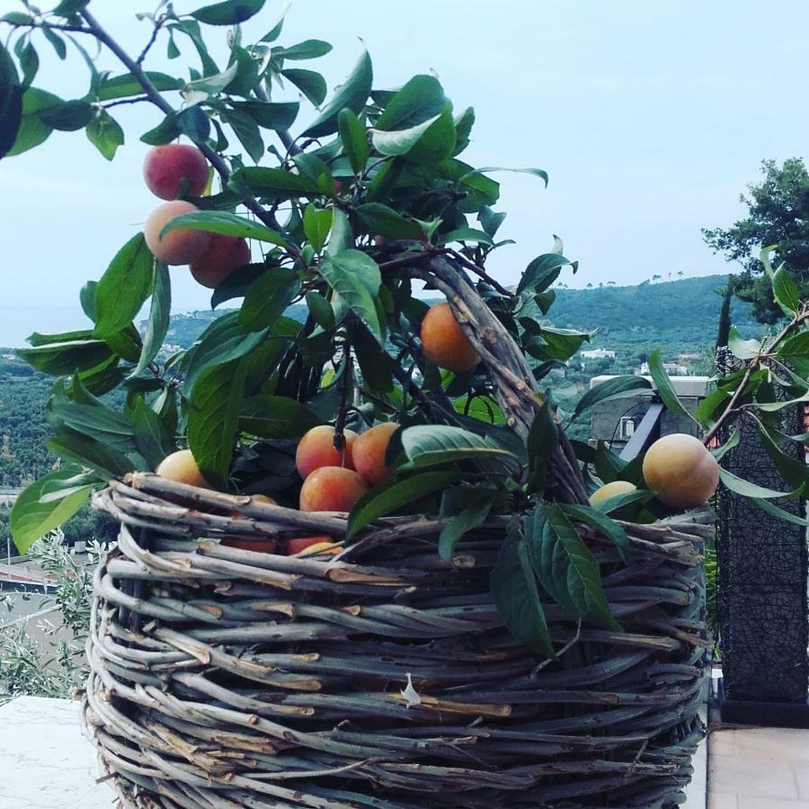 Willa Casa Del Carrubo Vieste Zewnętrze zdjęcie